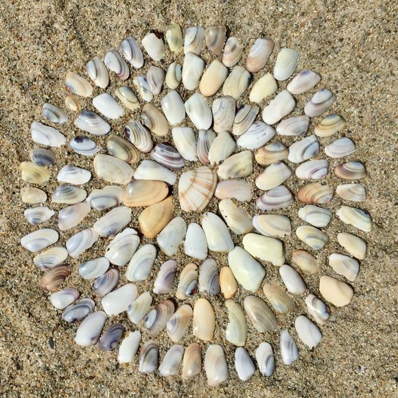 Meet your Posher, Julia - Picture 8 of 11